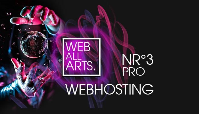 WEB ALL ARTS Webhosting Paket 1 Basic